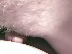 Tüylü sarışın kedi tease