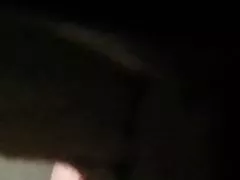 Güzel kedi