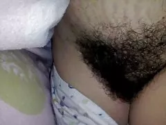 Tüylü kedi