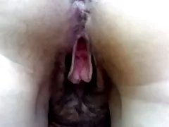 Benim karım kedi seviyorum