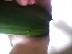 Tüylü kedi karısı