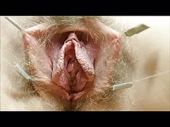 Şarkı pussies