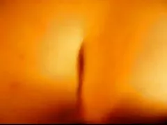 Anal zevk