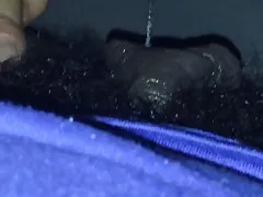 Abanoz büyük kedi ile 3 dudakları