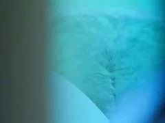 Tüylü sarışın spor salonunda bronzlaşma