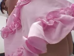 Tatlı beyaz teddy kulakları içinde kanepede okşadı kedi alır