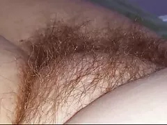Hanımları süper yumuşak tüylü kedi, titty, ayakları