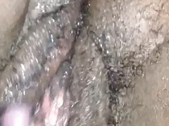 Abanoz ıslak tüylü kedi yalnız oynamak
