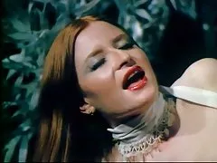 Tilki anal